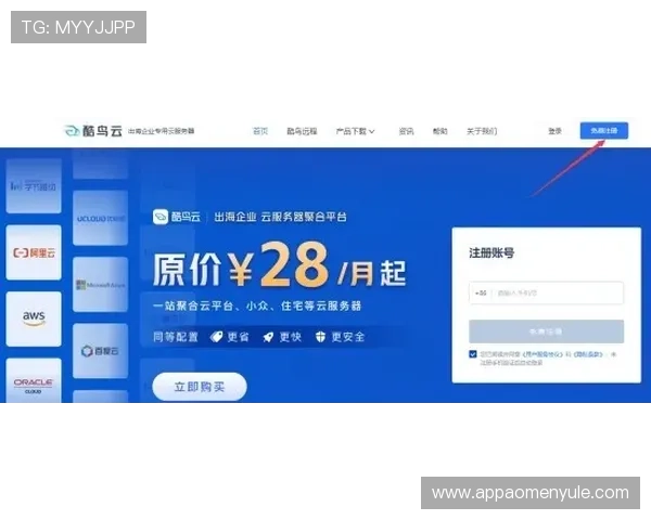 如何安全使用凯旋门官网登录平台，有效防范账号信息泄露风险